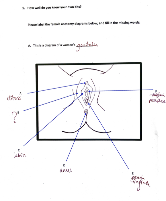 camille datu recommends how many holes does a woman have diagram pic