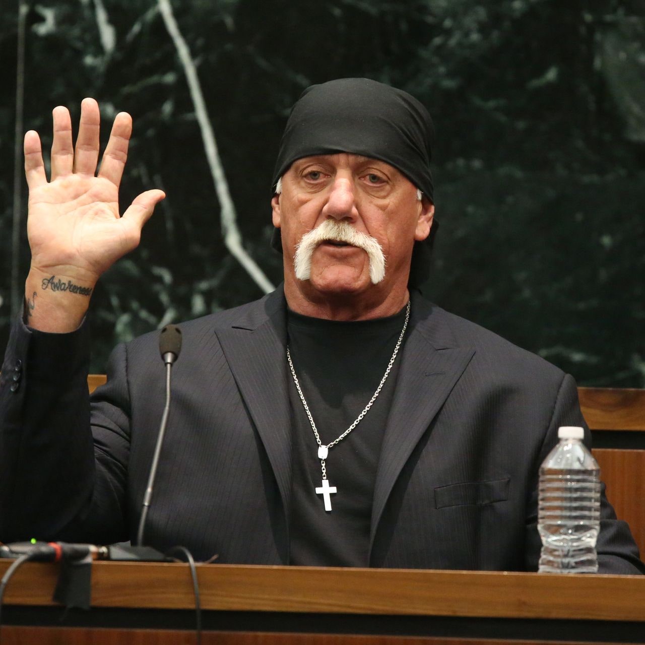 belisario nieto recommends Hulk Hogan Sextape Porn