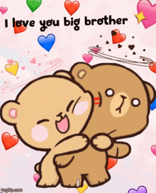 beth mcroberts recommends i love my brother gif pic