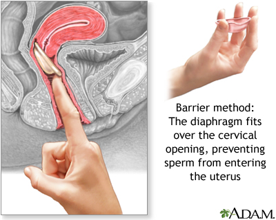 david fode recommends Intercourse Process With Pictures