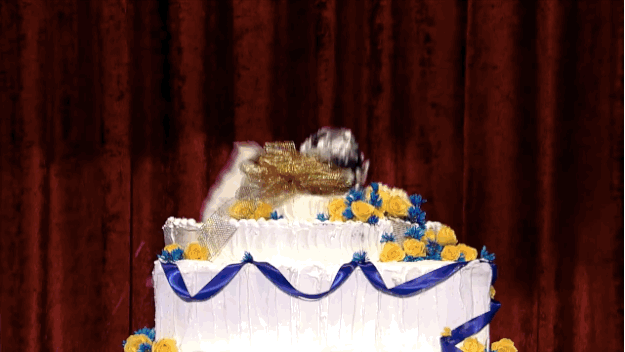 brent brinkley recommends jumping out of birthday cake gif pic