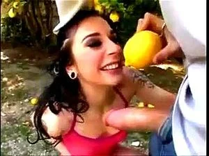 amr mohamed mohamed recommends Lemon Stealing Whore Porn