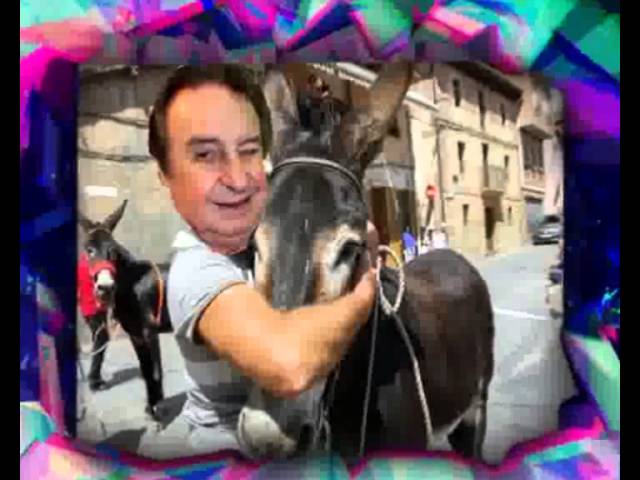 dorothy reiter recommends mujeres haciendo el amor con burros pic