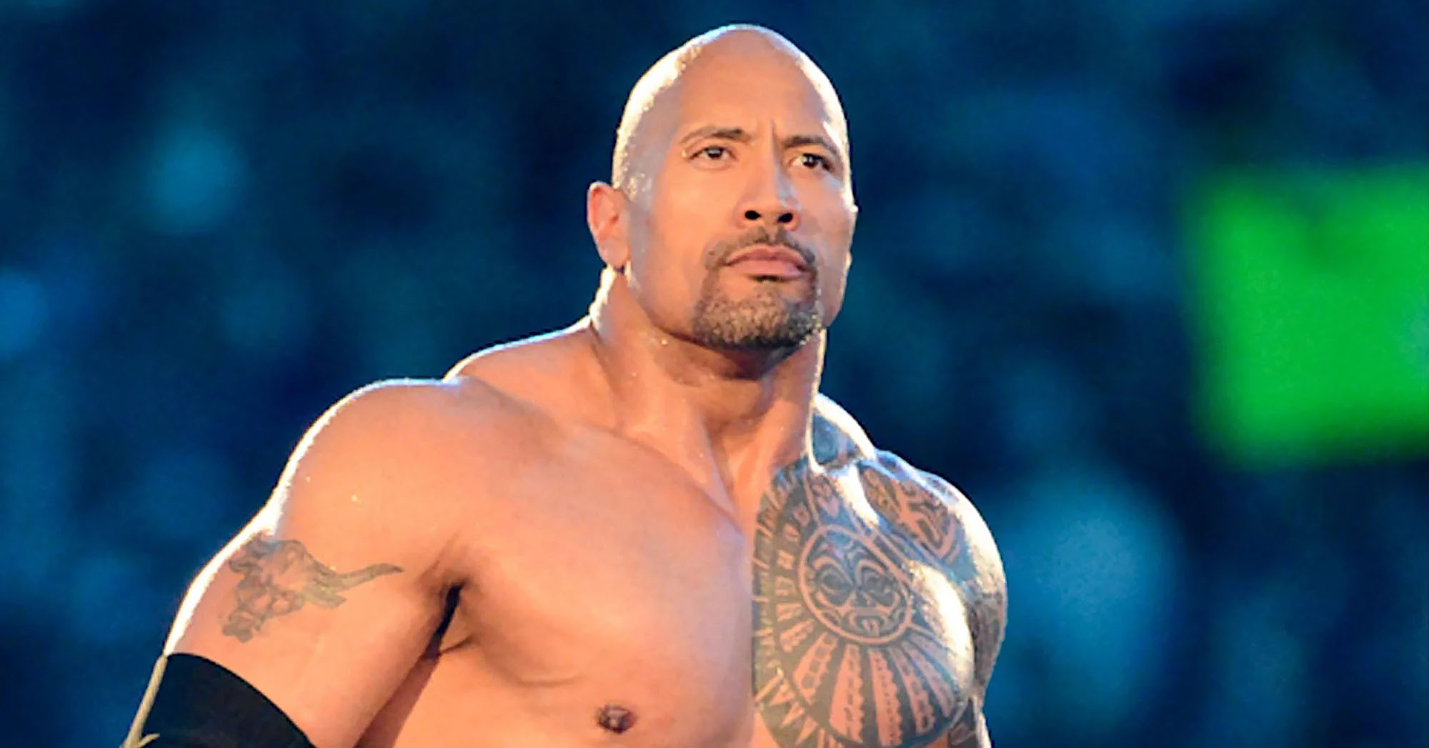 clare mcneal add photo naked dwayne johnson