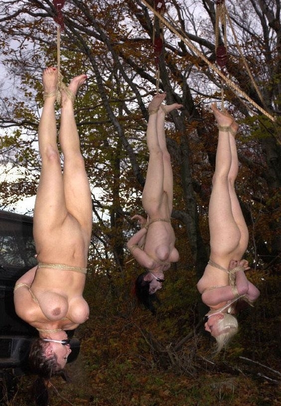 carlene burley recommends naked girls hanging upside down pic