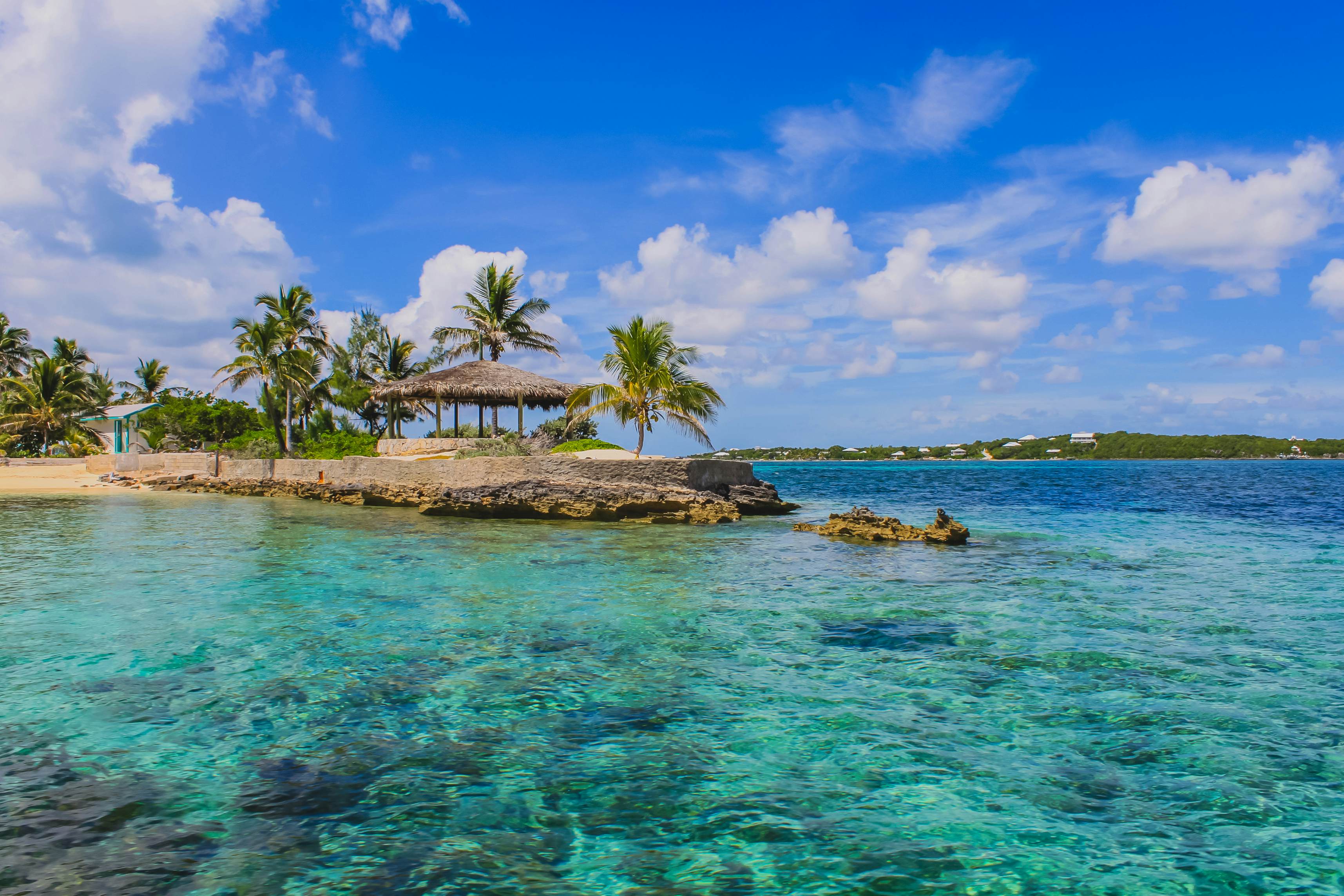 alex knutson add nude in the bahamas photo