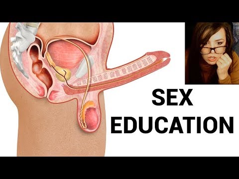 donna thronson recommends Sexual Intercourse Video Education