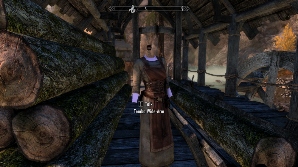 amy johnson collins recommends skyrim se milk mod pic