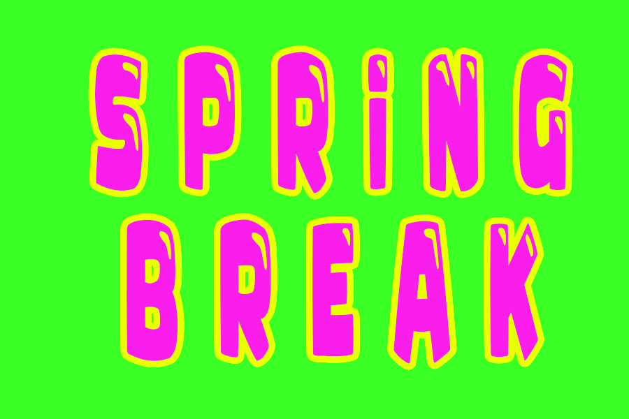 curtis ray johnson recommends Spring Break Gif