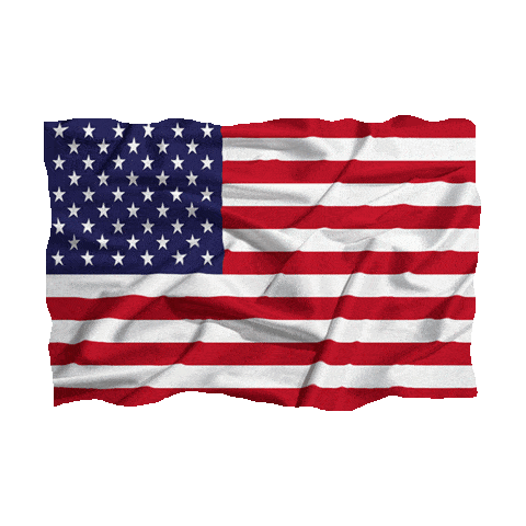 Best of Us flag gif