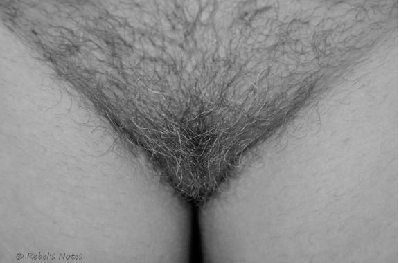 derek joubert recommends vagina bush tumblr pic