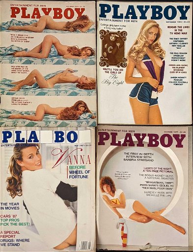amin marji recommends vanna white playboy pictures pic