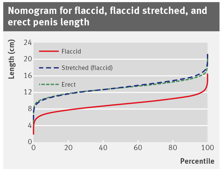 asha purushothaman recommends Why Is My Penis Small When Flacid