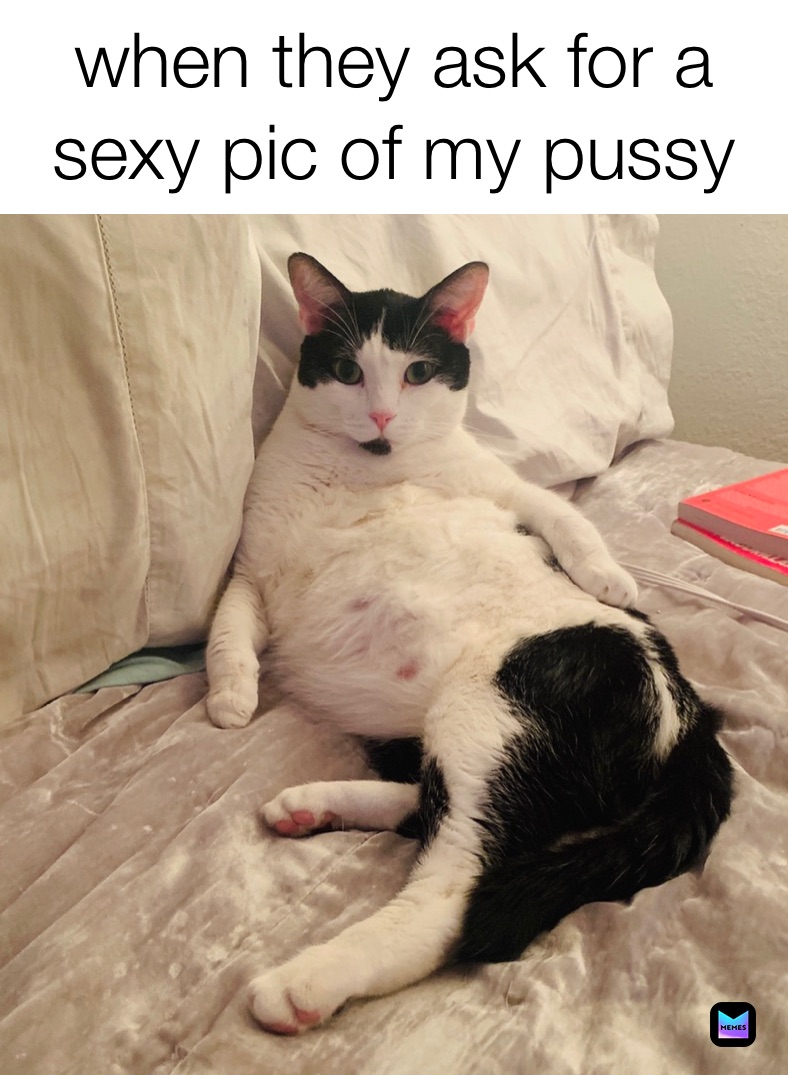 your a pussy memes